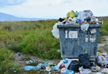 플라스틱 쓰레기의 역습은 이미 시작됐다!