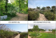 국립생태원, 사계절 변화 느끼는 ‘산들바람길’ 조성