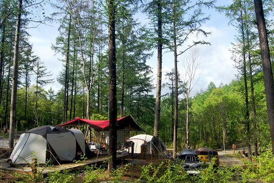 휴양림 숙박·야영장도 다시 문연다…13일부터 운영 재개
