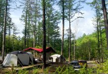 휴양림 숙박·야영장도 다시 문연다…13일부터 운영 재개