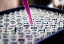 코로나19 진단시약 총 1억9613만명분 150개국에 수출