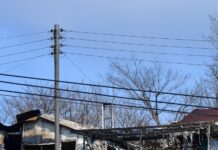 산불피해 주택 보수 등 복구 지원…12일부터 농촌봉사활동 본격화