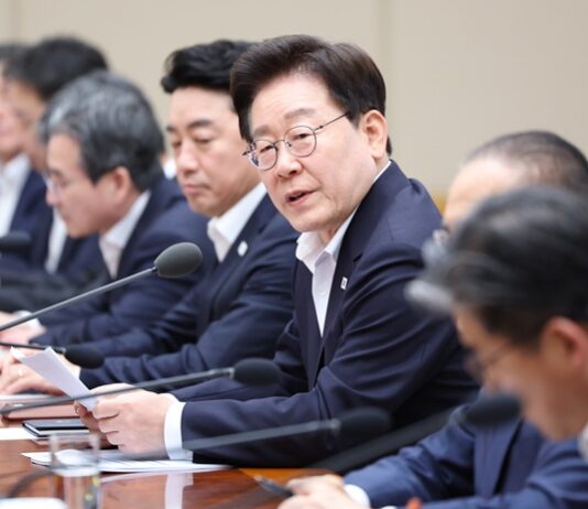 이 대통령 “메가프로젝트 추진 시 성장의 양극화 방지책 선제적 마련”